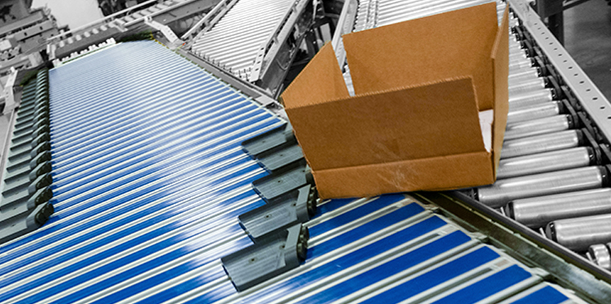 Sortation Conveyor